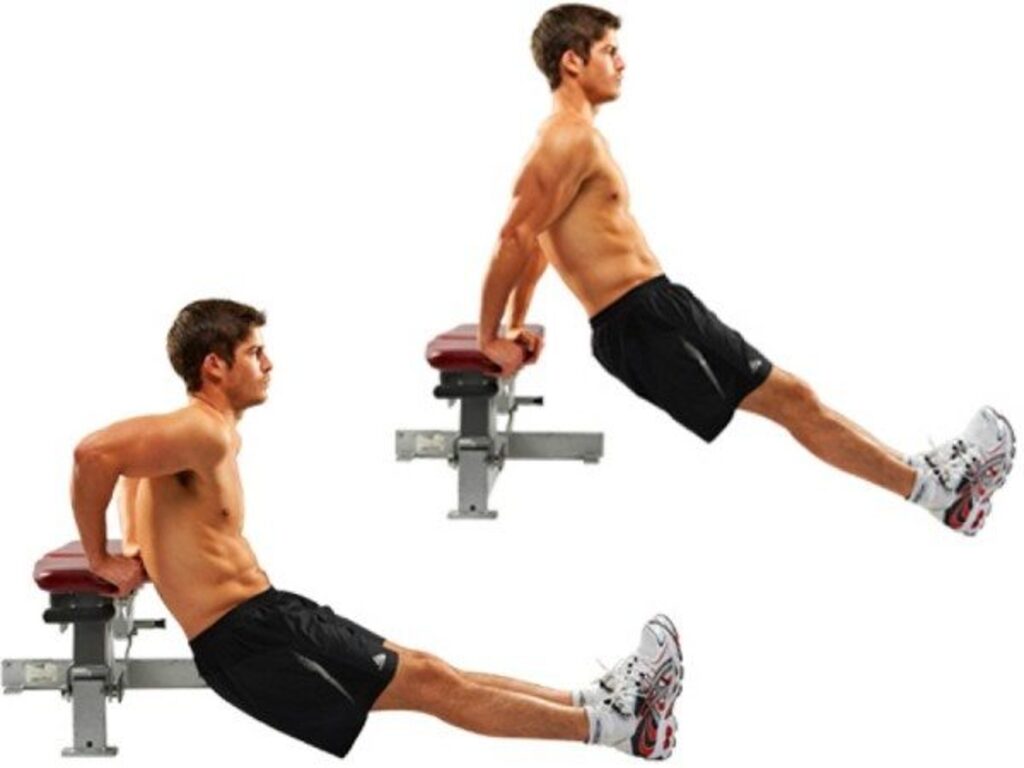 Bench dips : lateral head tricep exercises