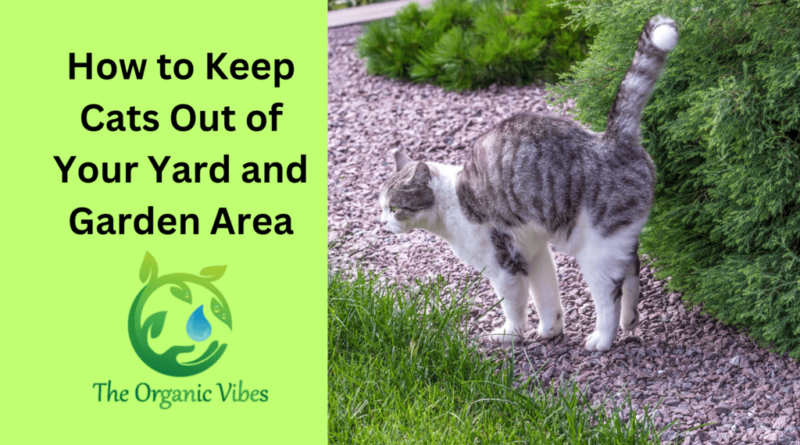 how to keep cats out of your yard